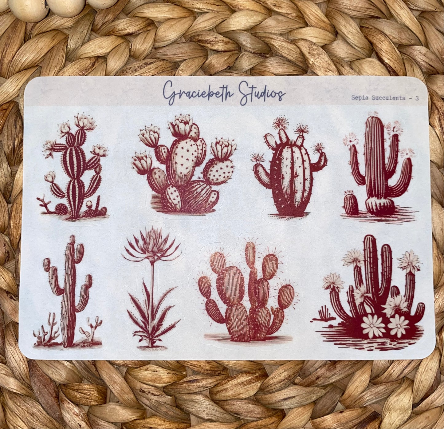 Sepia Succulents Deco Stickers