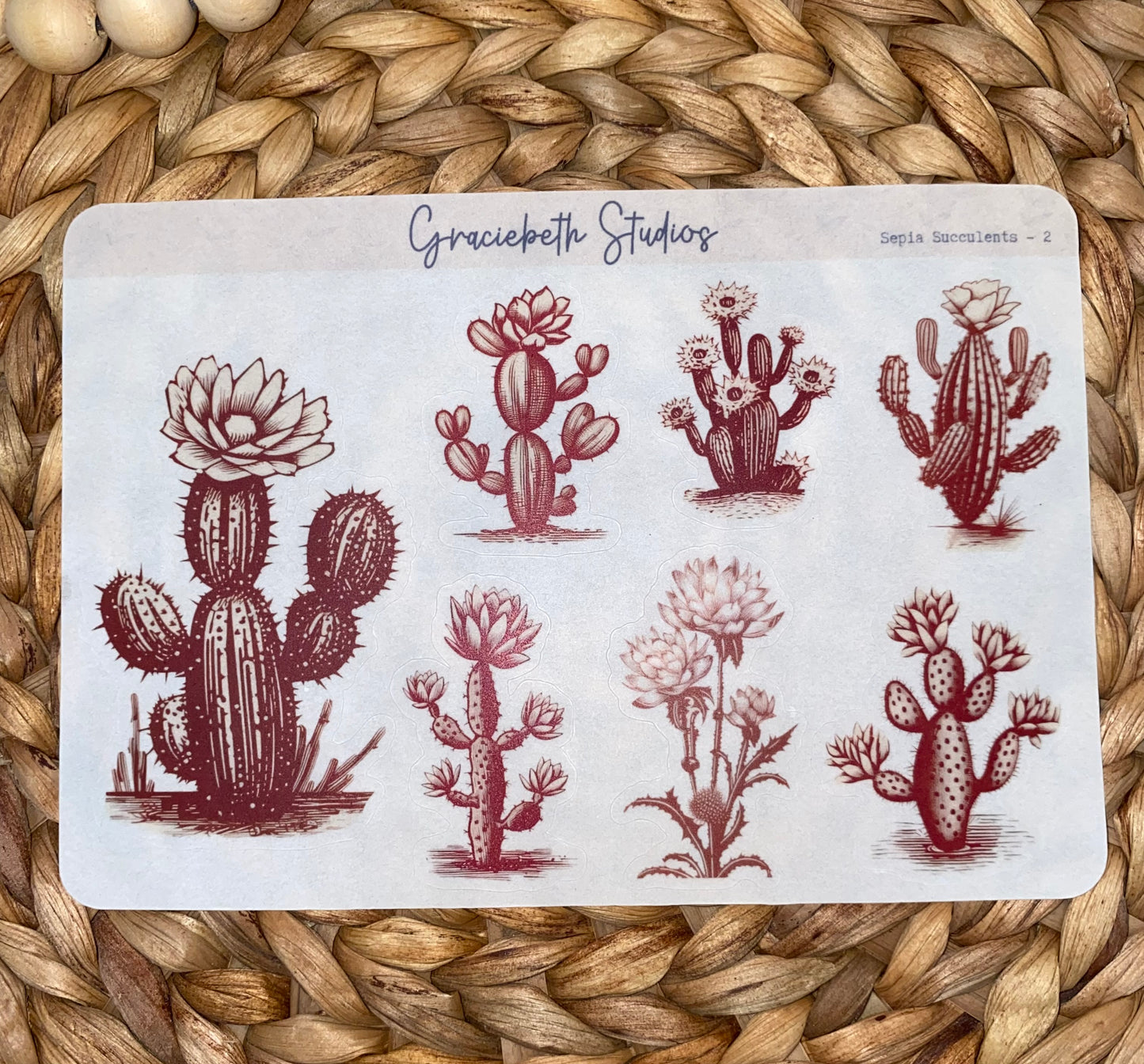 Sepia Succulents Deco Stickers